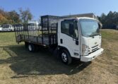 isuzu npr hd