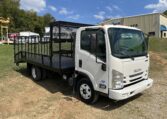 2019 ISUZU NPR